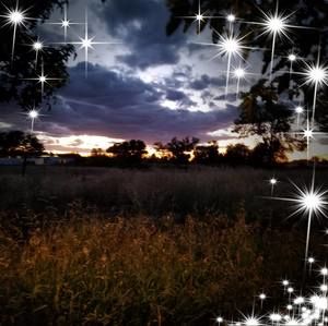 Meet your Posher, Connie